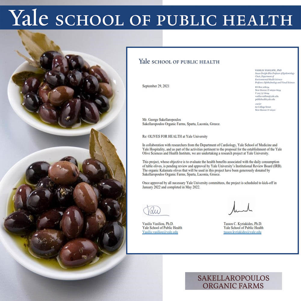 YALE - Σχολή Δημόσιας Υγείας - Olives for Health μελέτη ελιές