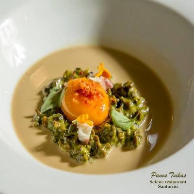 Chef Tsikas Panos - Gourmet Evoo Majestic Blend